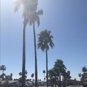 Meet your Posher, Molly